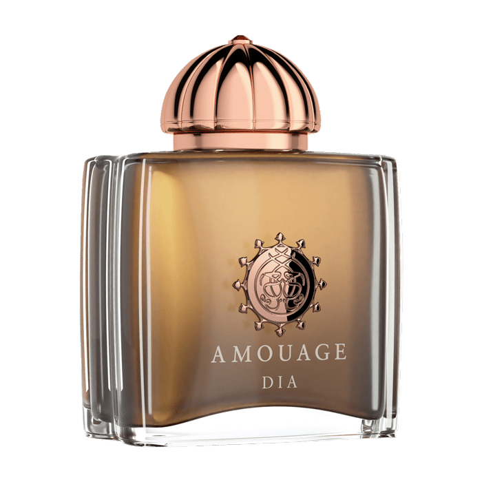 Amouage Dia E.d.P. Nat. Spray Woman 100 ml