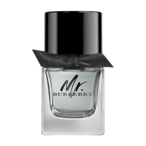 Burberry Mr. Burberry E.d.T. Nat. Spray 50 ml