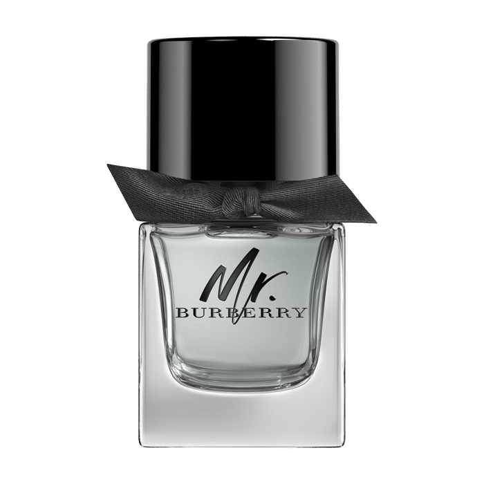 Burberry Mr. Burberry E.d.T. Nat. Spray 50 ml