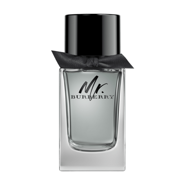 Burberry Mr. Burberry E.d.T. Nat. Spray 100 ml