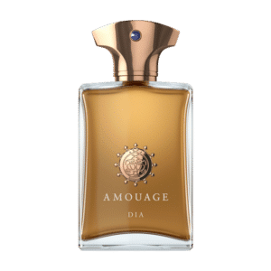 Amouage Dia E.d.P. Nat. Spray Man 100 ml